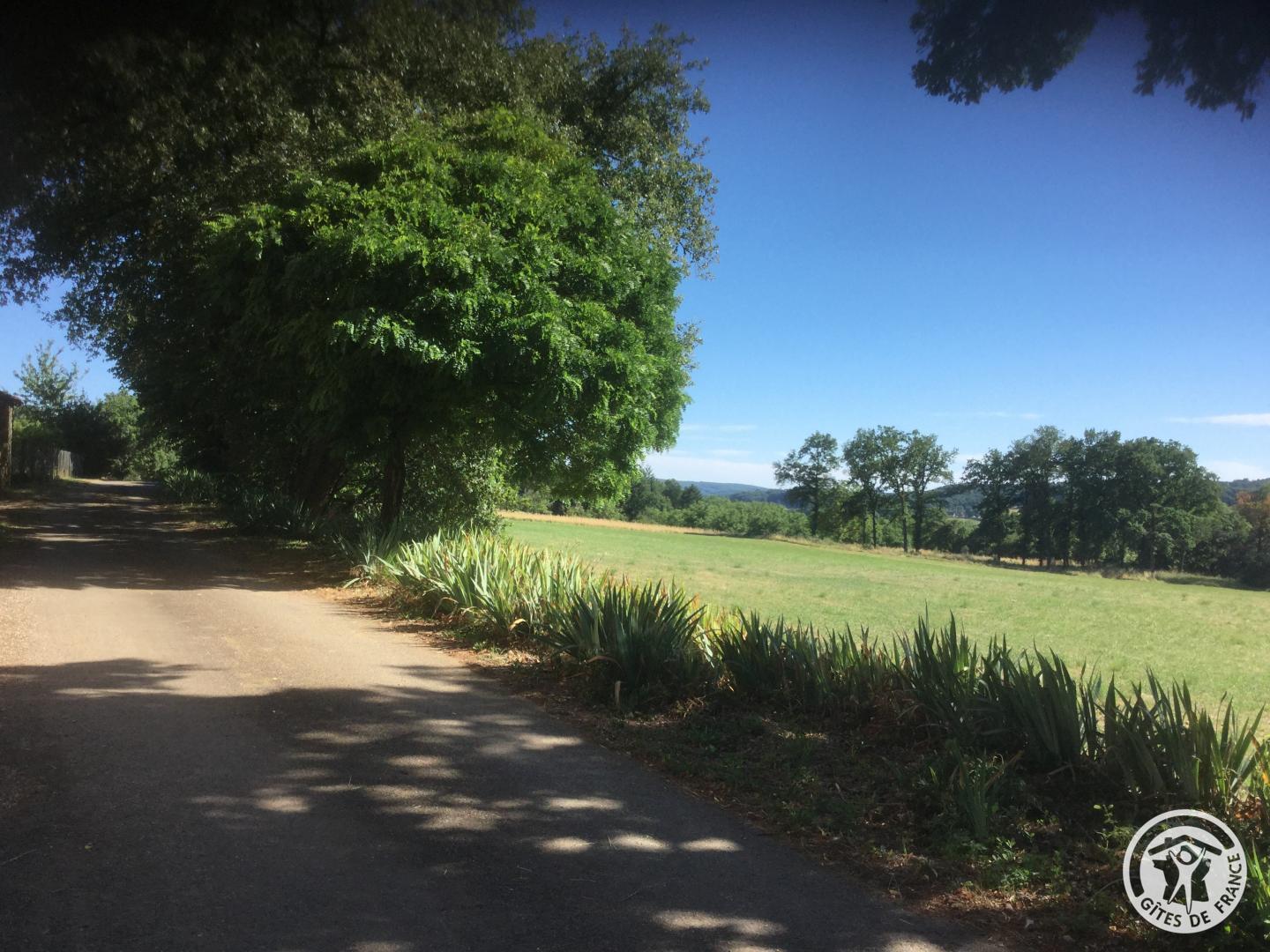 Location Gîtes de France  - Réf : 19G2211, Saillac - photo 89