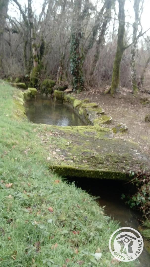 Au clos des songes, Saillac - photo 101