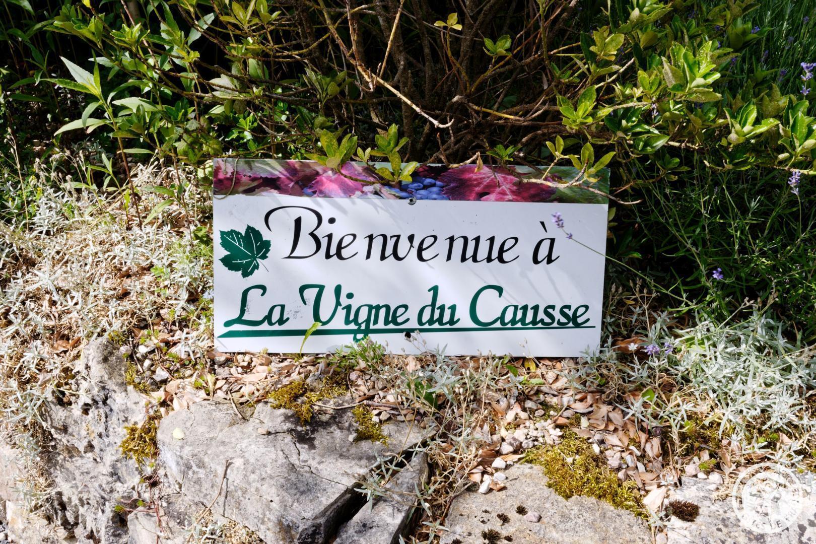 la vigne du causse, Saint-Julien-Maumont - photo 120