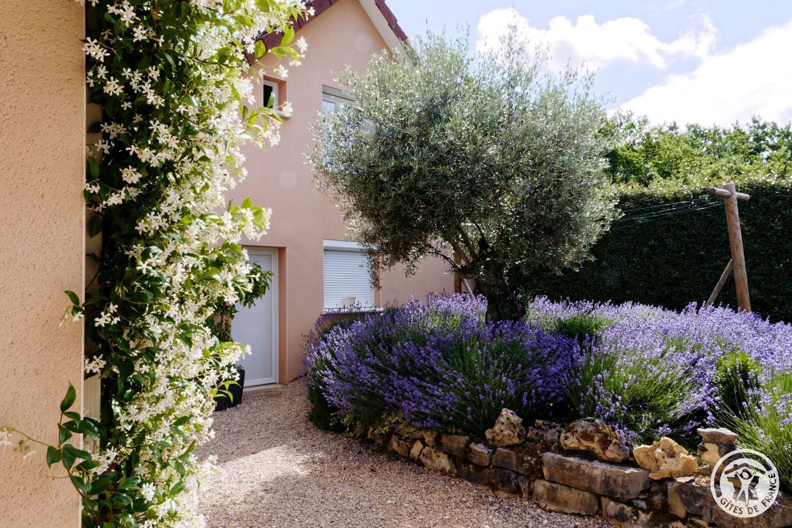 la vigne du causse, Saint-Julien-Maumont - photo 141