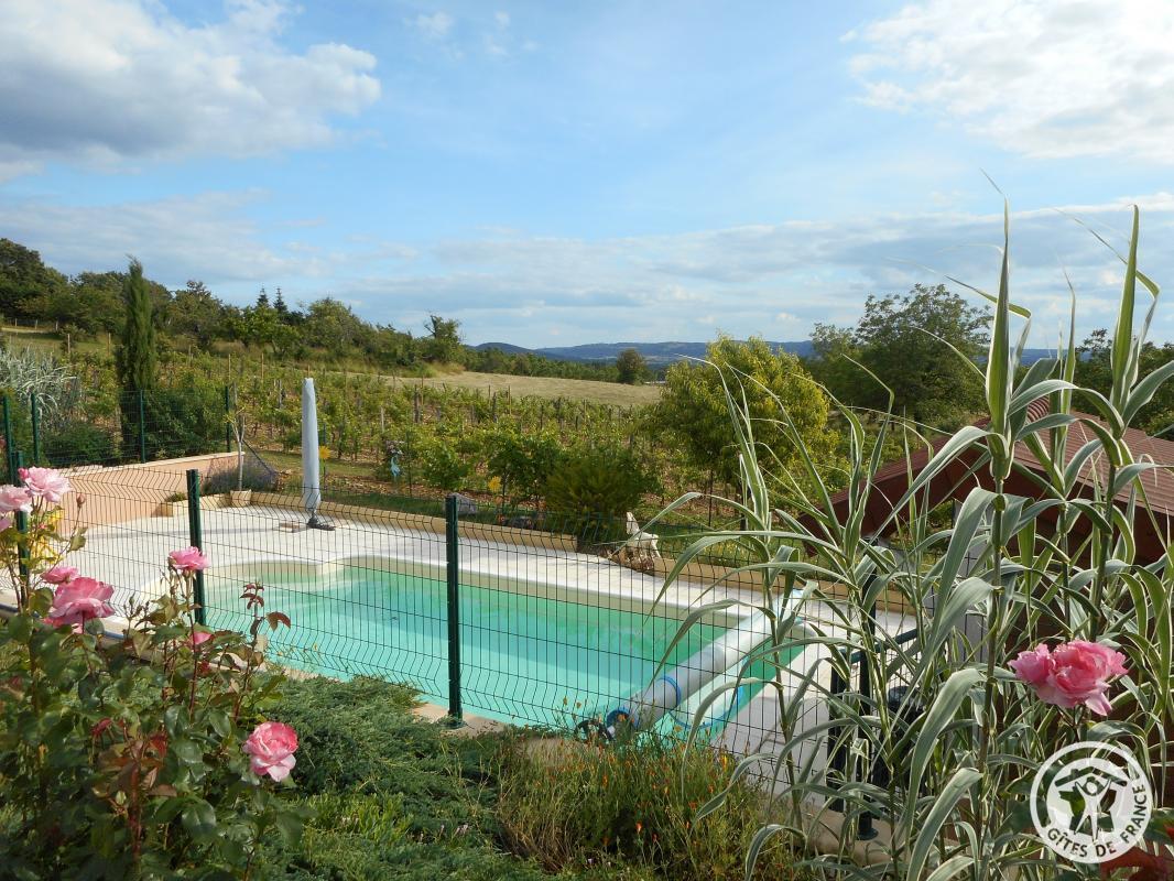 la vigne du causse, Saint-Julien-Maumont - photo 134