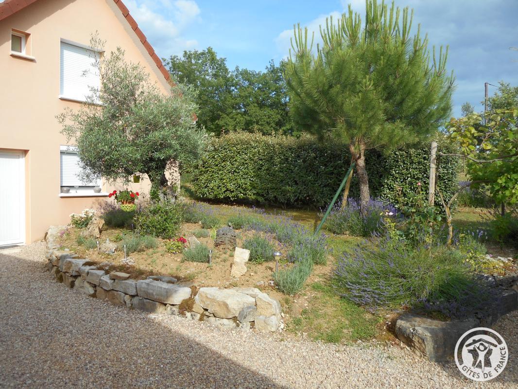 la vigne du causse, Saint-Julien-Maumont - photo 122