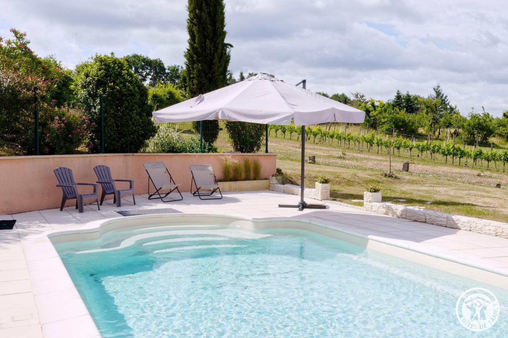 la vigne du causse, Saint-Julien-Maumont - photo 137