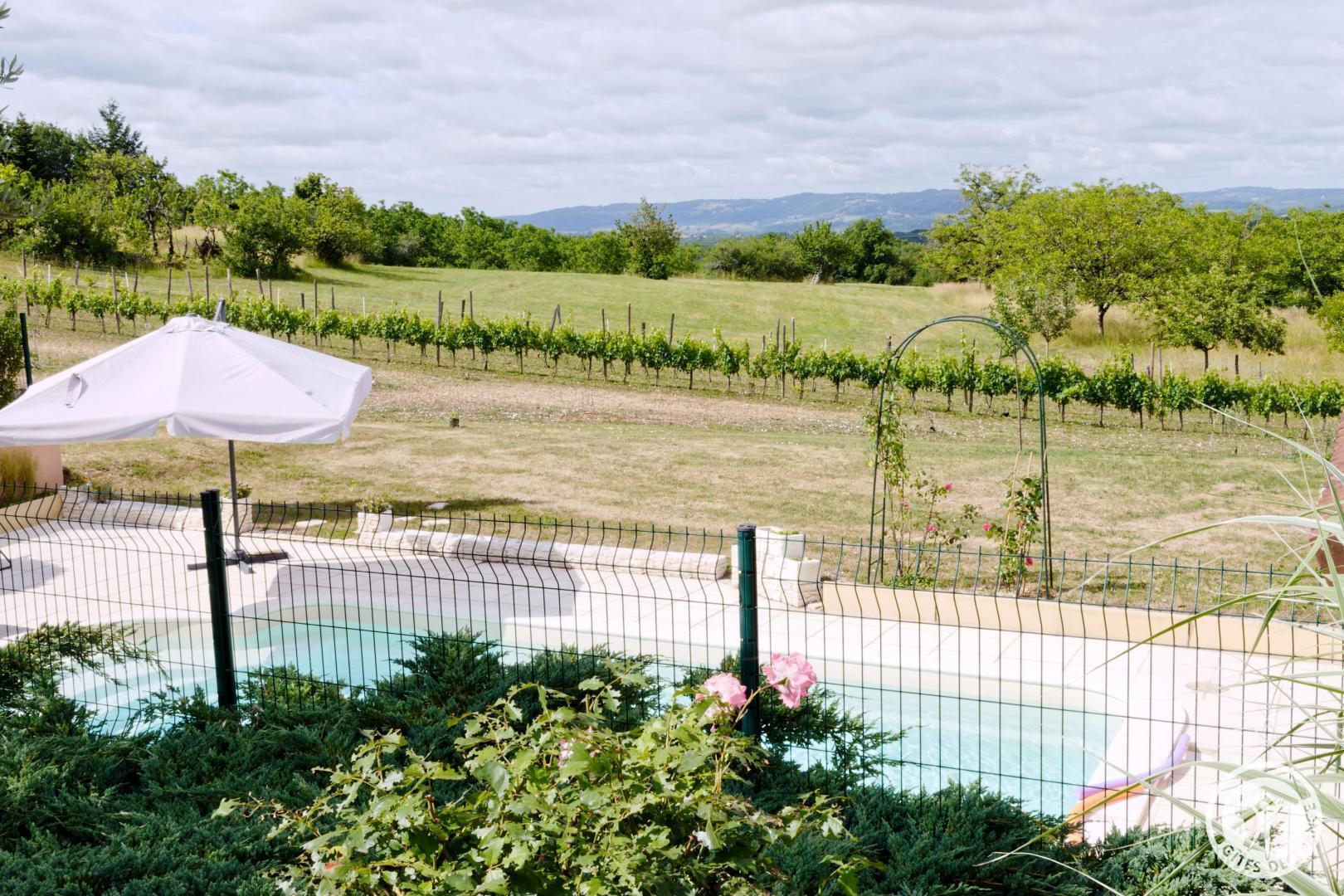 la vigne du causse, Saint-Julien-Maumont - photo 133
