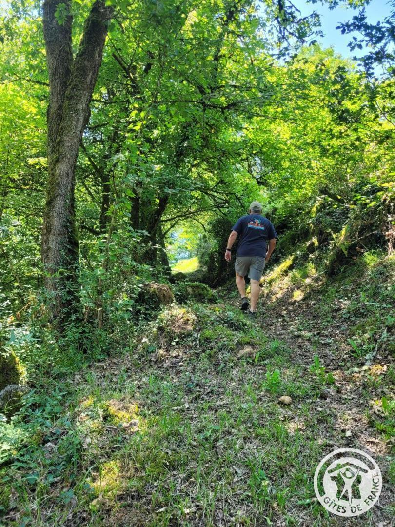 La yourte Joulebois, Saillac - photo 121