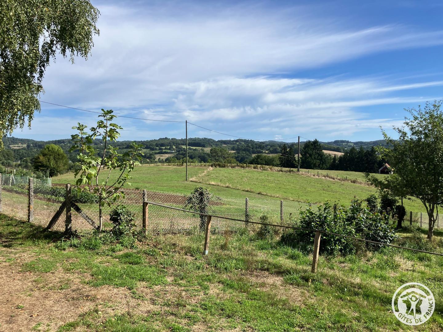 Le Noyer, Sainte-Féréole - photo 108