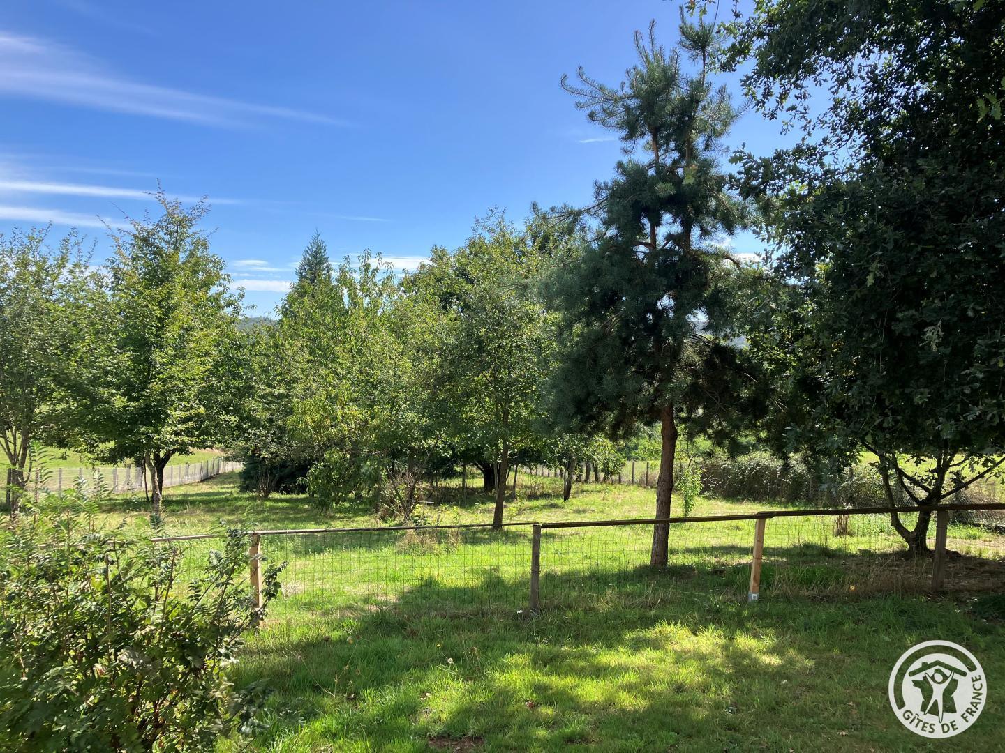Le Noyer, Sainte-Féréole - photo 122