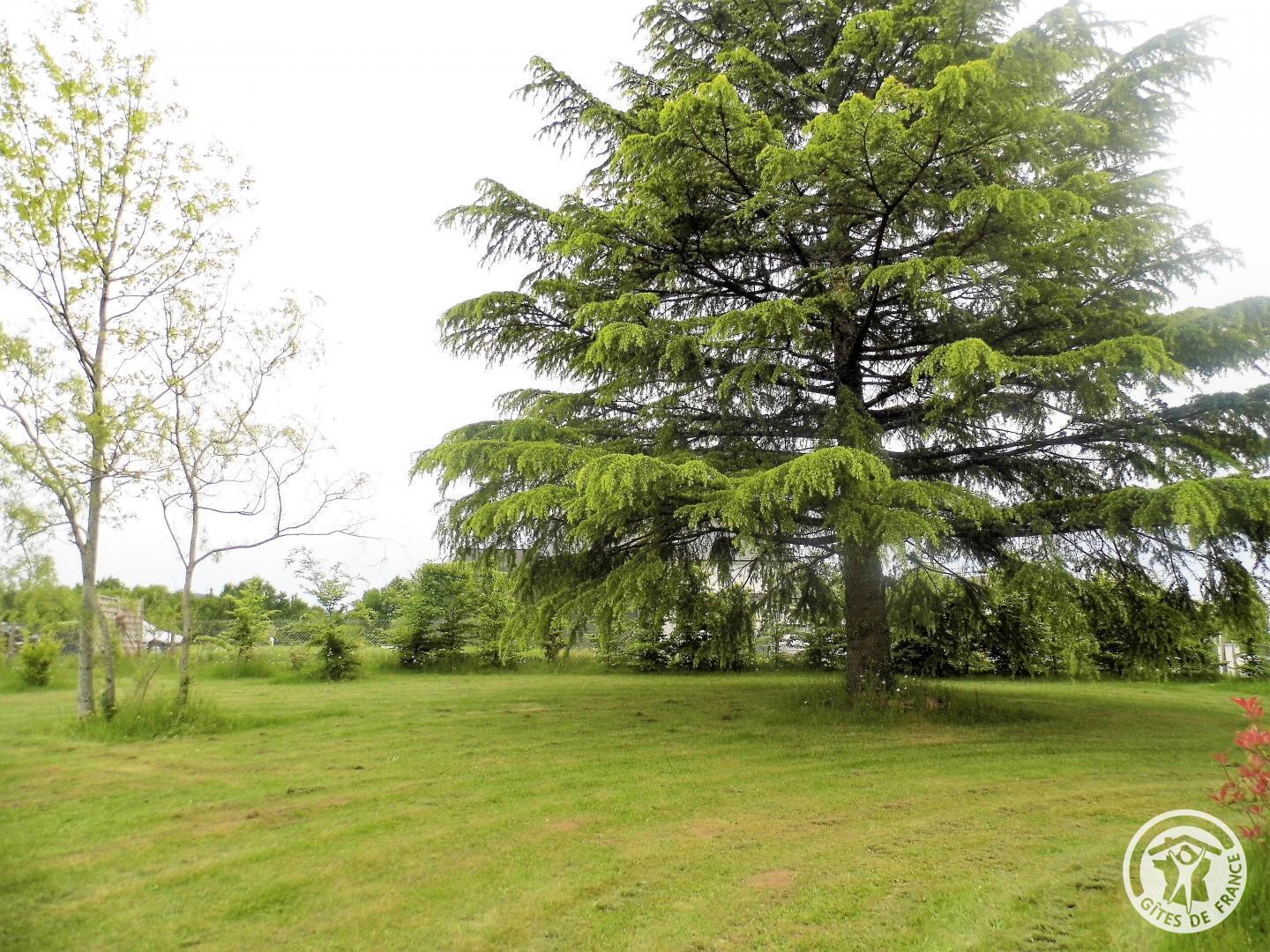 Le Noyer, Sainte-Féréole - photo 121