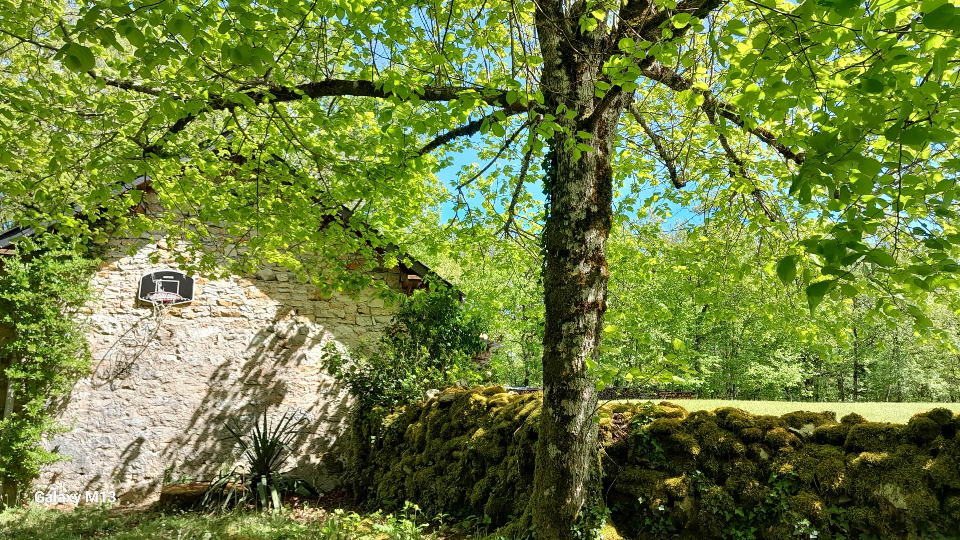 La Fermette, Turenne - photo 145