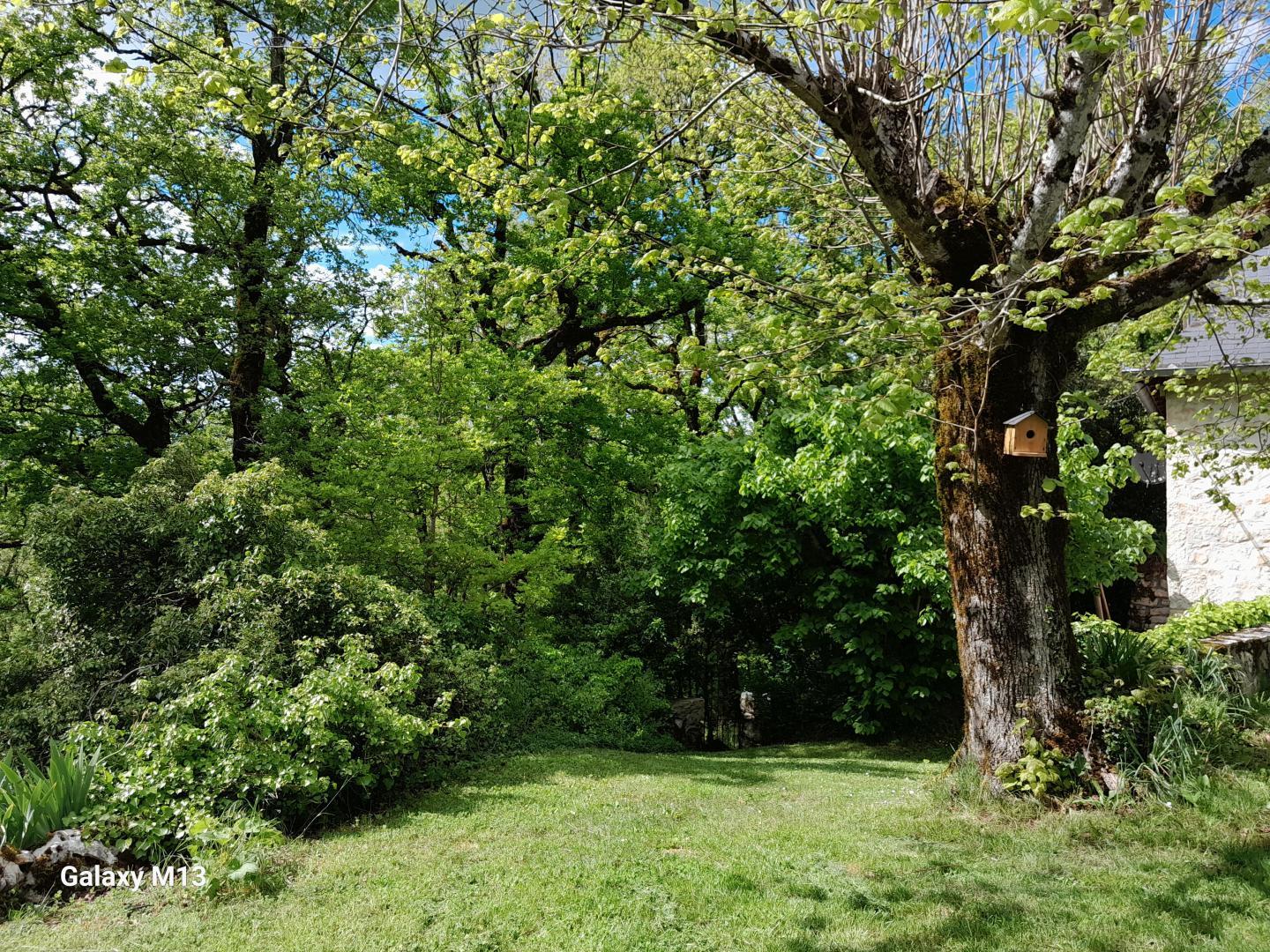 La Fermette, Turenne - photo 143