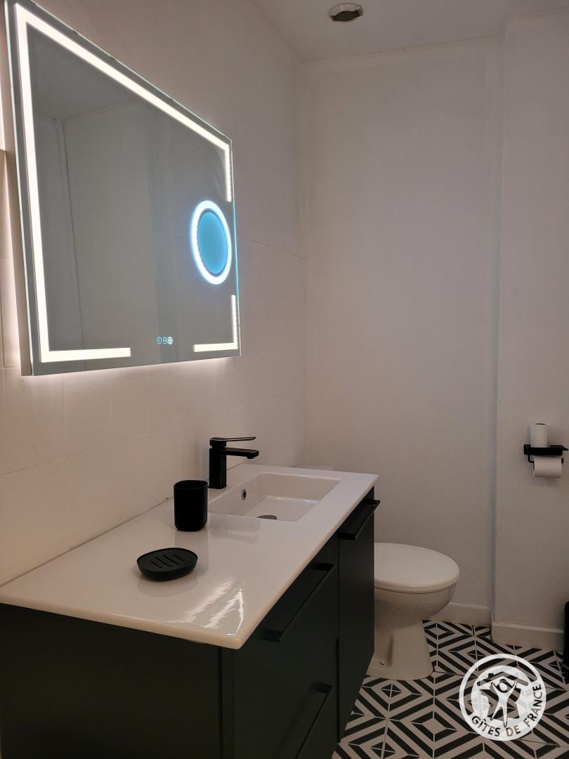 Appartement -La Halte Gaillarde — photo 3