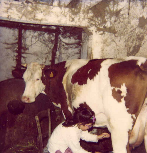 Gîte d'enfant, Lagleygeolle - photo 3