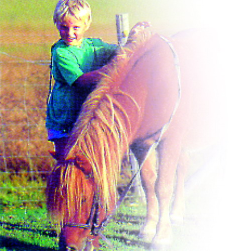 Gîte d'enfant, Lagleygeolle - photo 4