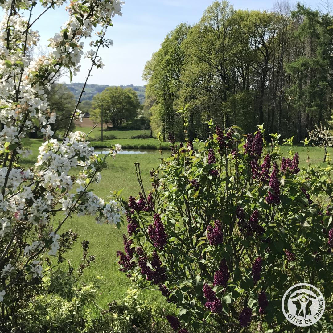 Escale en Corrèze, Sadroc - photo 251