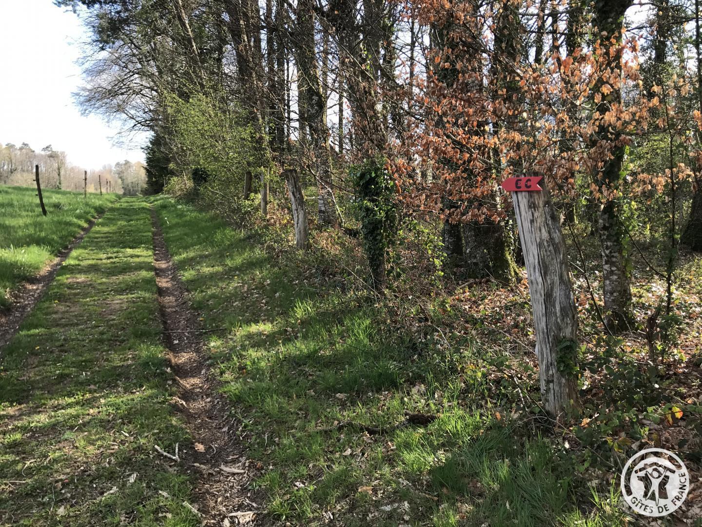 Escale en Corrèze, Sadroc - photo 258