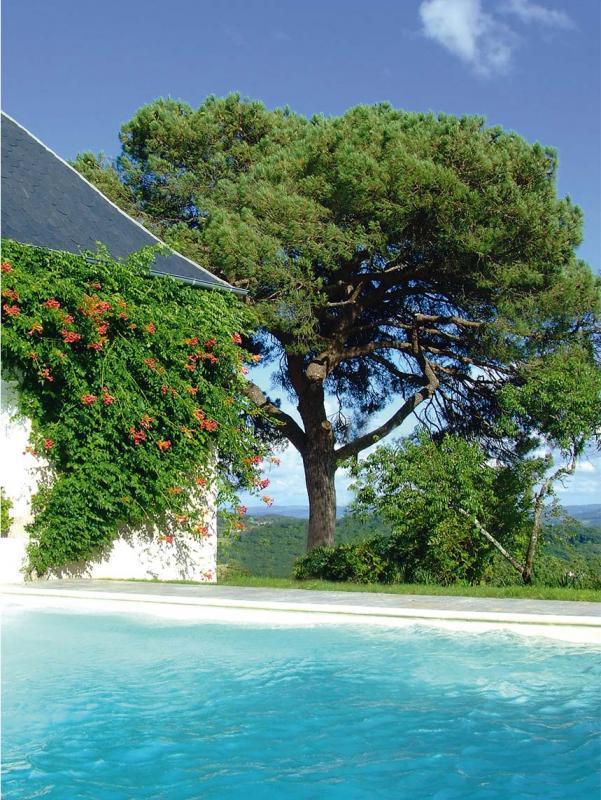 Domaine de la Morétie, Cublac - photo 130