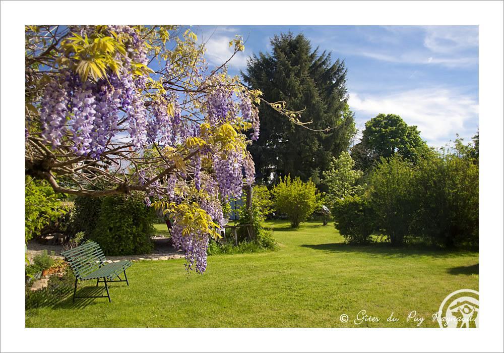 Fougères, Benayes - photo 78