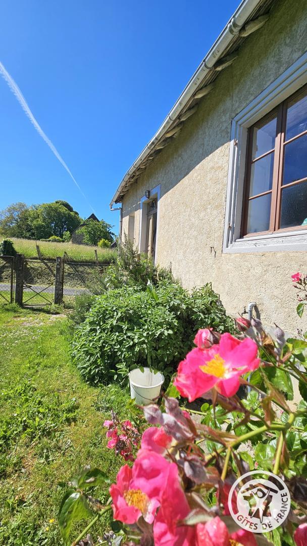 Maison d'Amélie, Arnac-Pompadour - photo 59