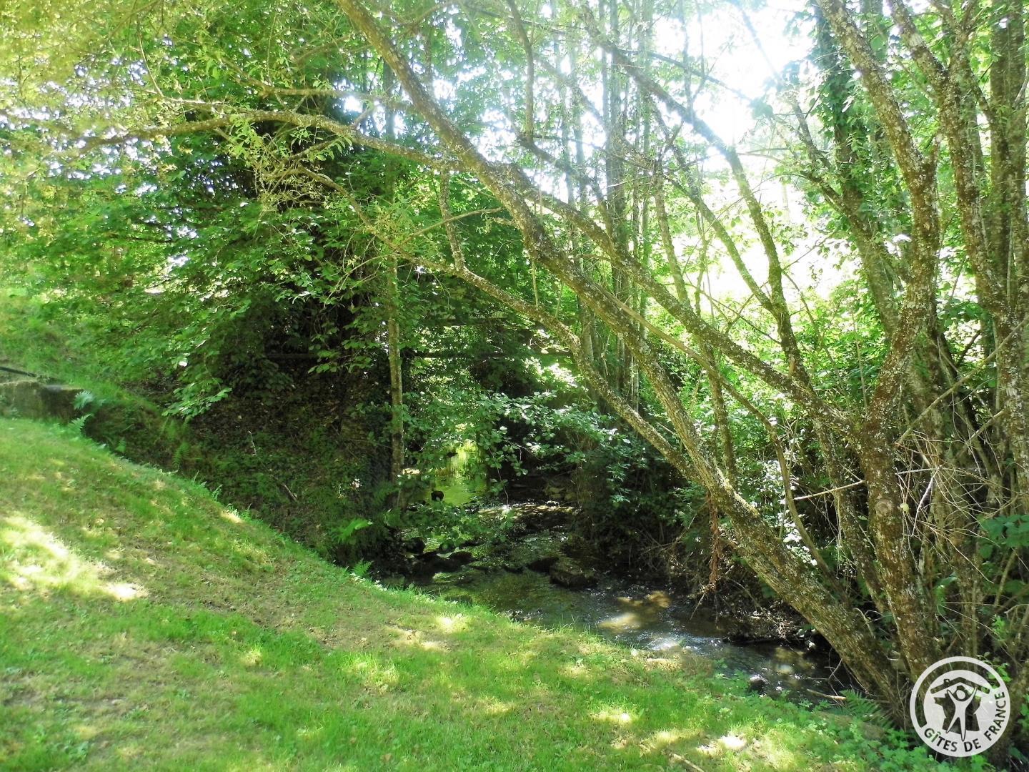 Location Gîtes de France  - Réf : 19G3019, Beyssenac - photo 62