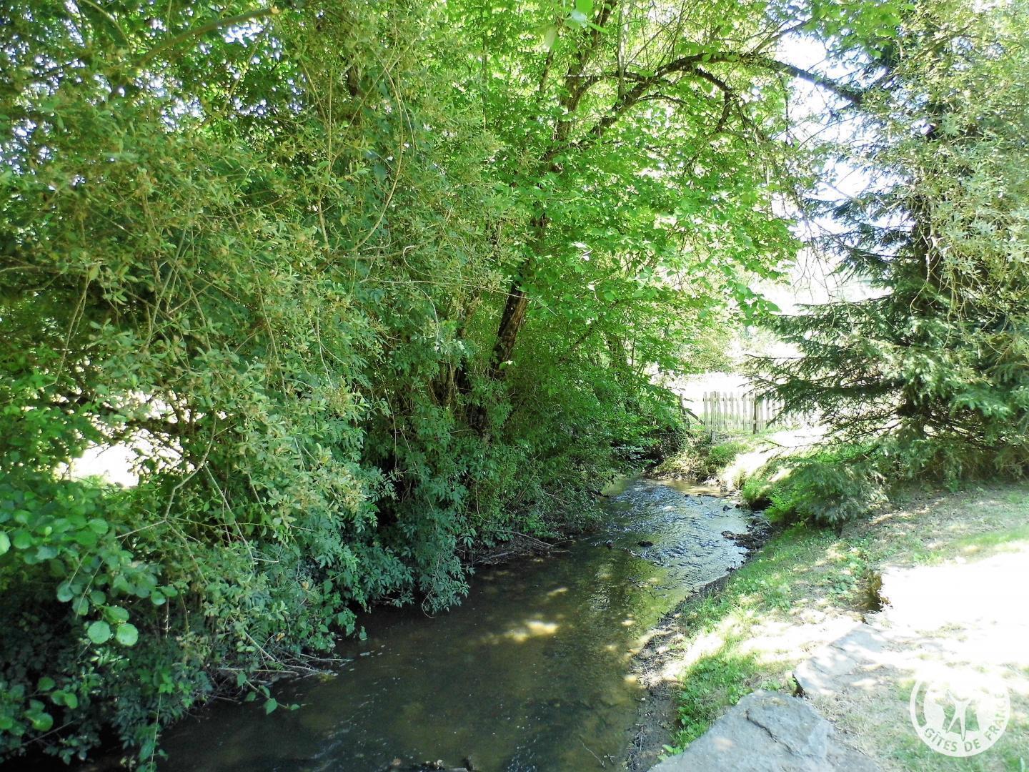 Location Gîtes de France  - Réf : 19G3019, Beyssenac - photo 58