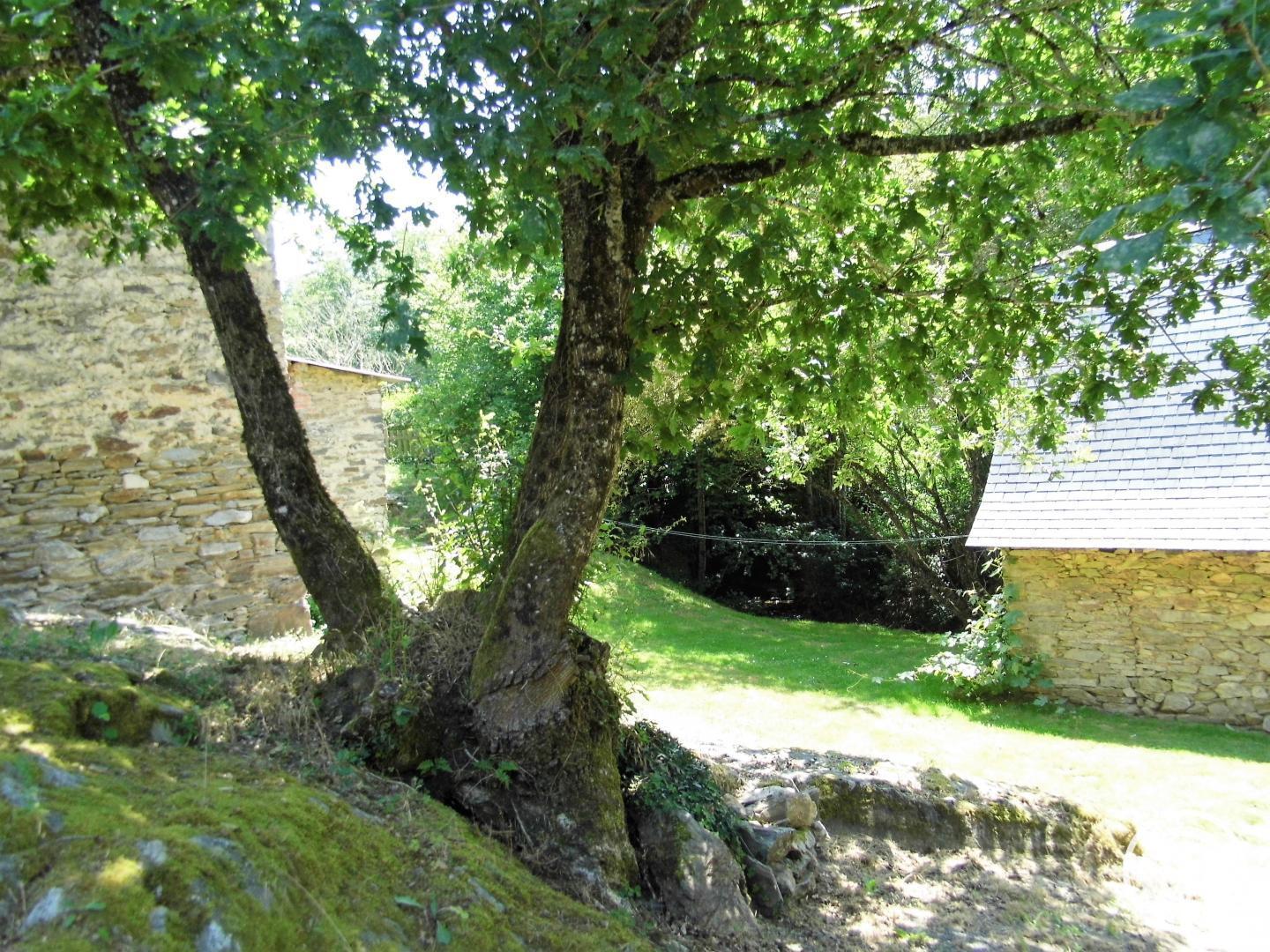 Location Gîtes de France  - Réf : 19G3019, Beyssenac - photo 56