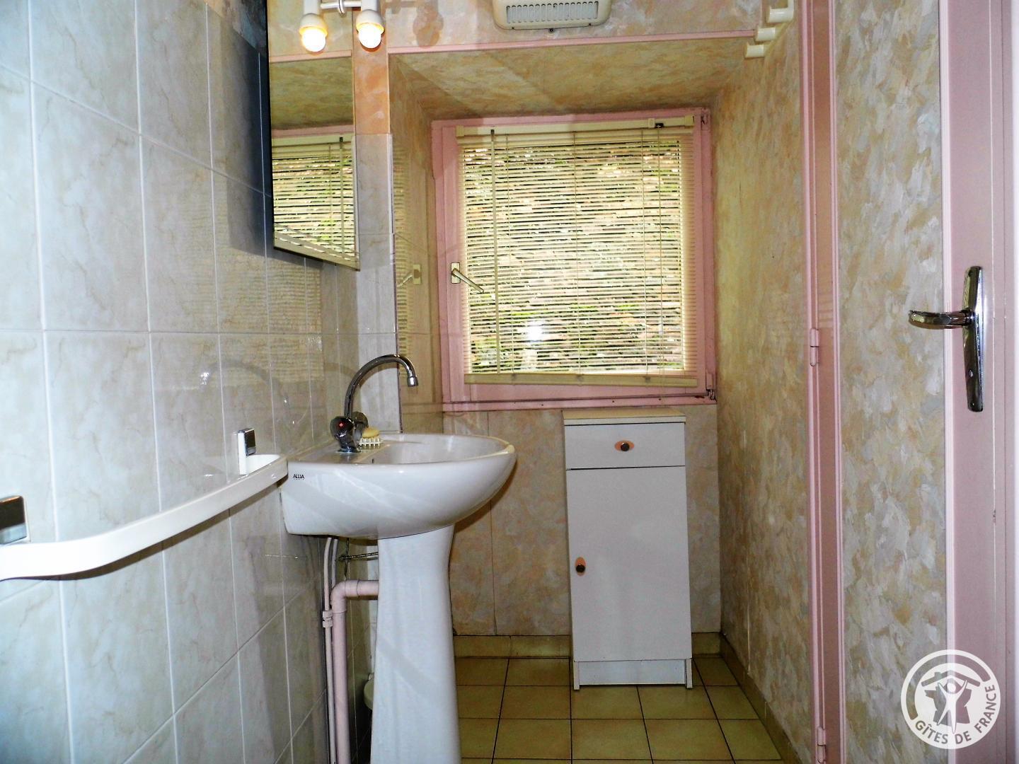 Location Gîtes de France  - Réf : 19G3037, Concèze - photo 29