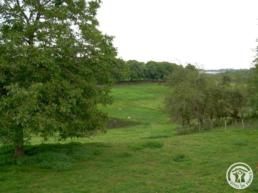 Location Gîtes de France  - Réf : 19G3039, Concèze - photo 104