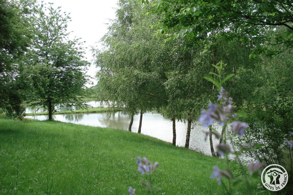 Les Mésanges, Concèze - photo 129