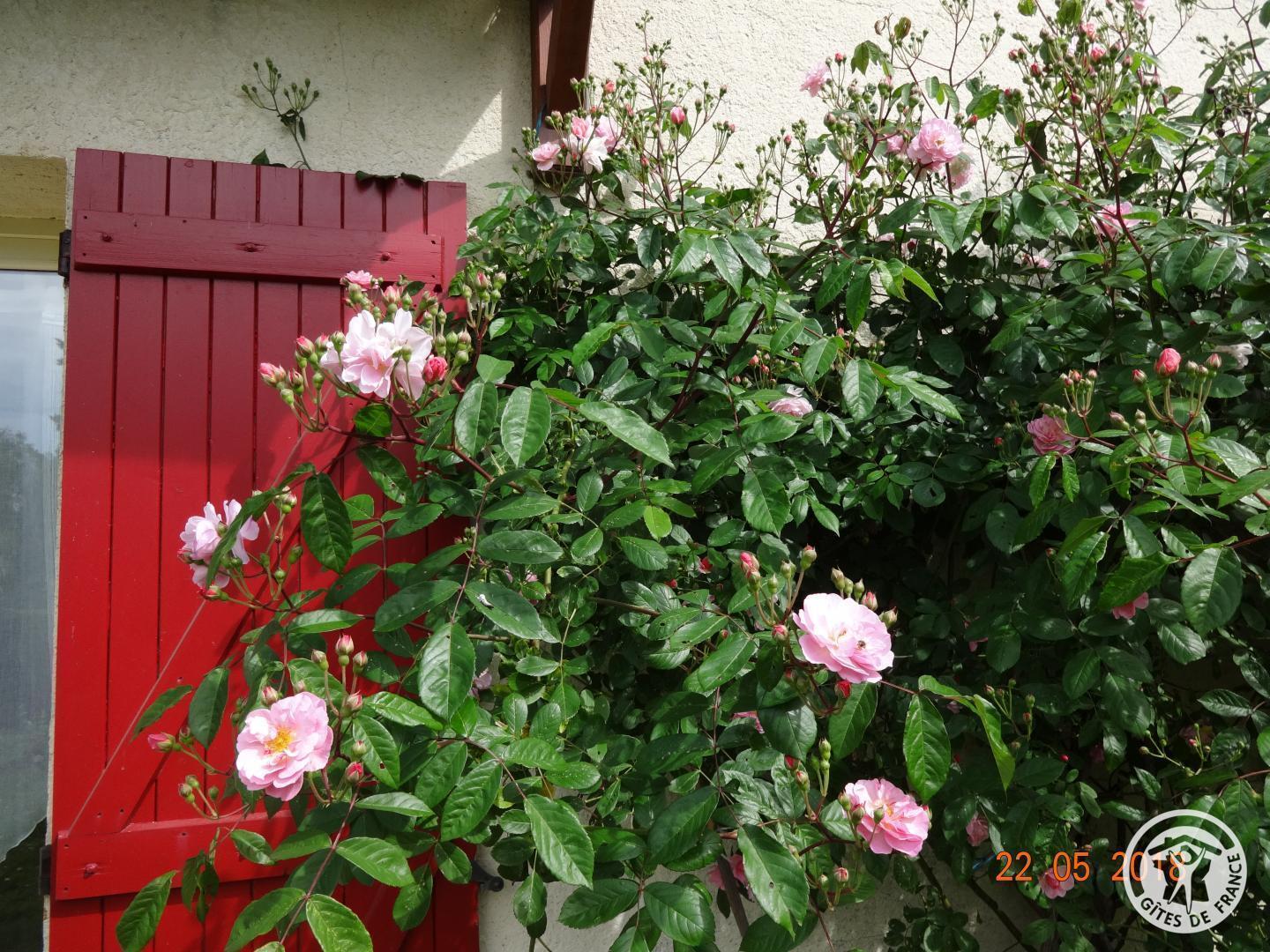 Les Mésanges - photo 2