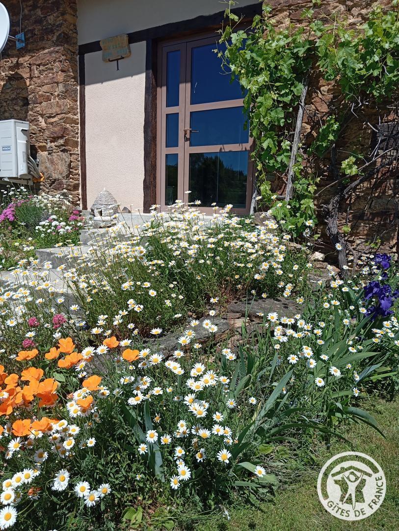 C'est tout Vert - photo 3