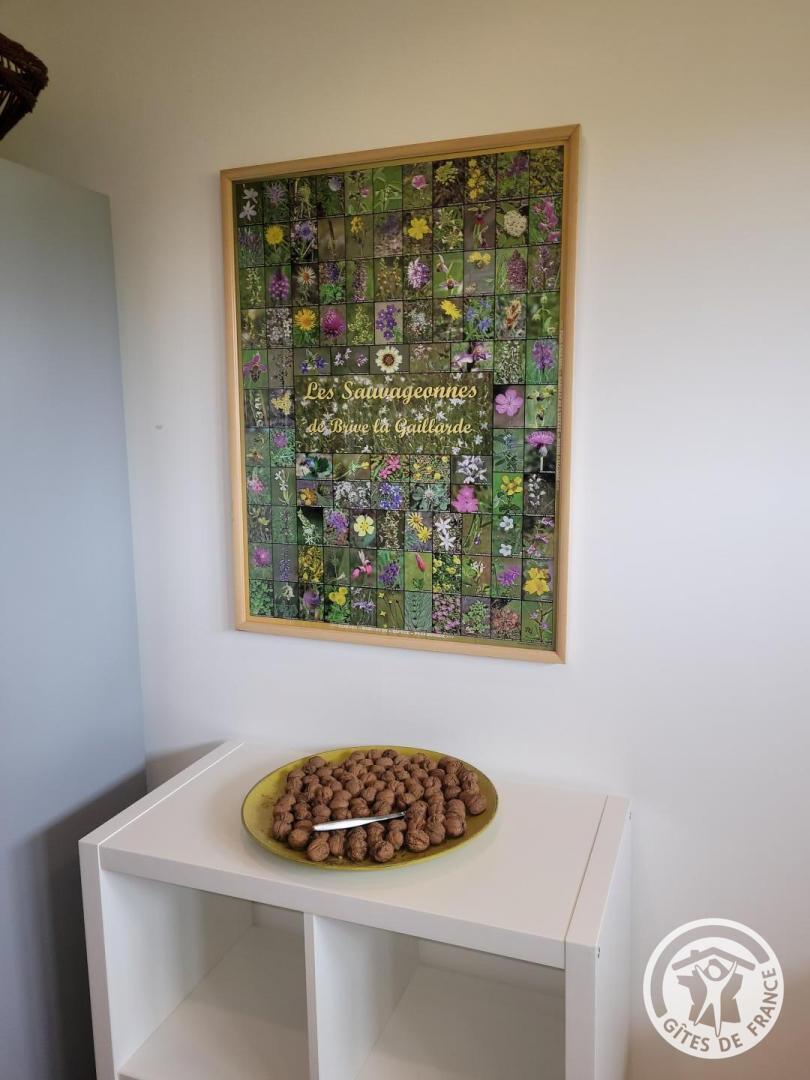 C'est tout Vert, Condat-sur-Ganaveix - photo 448