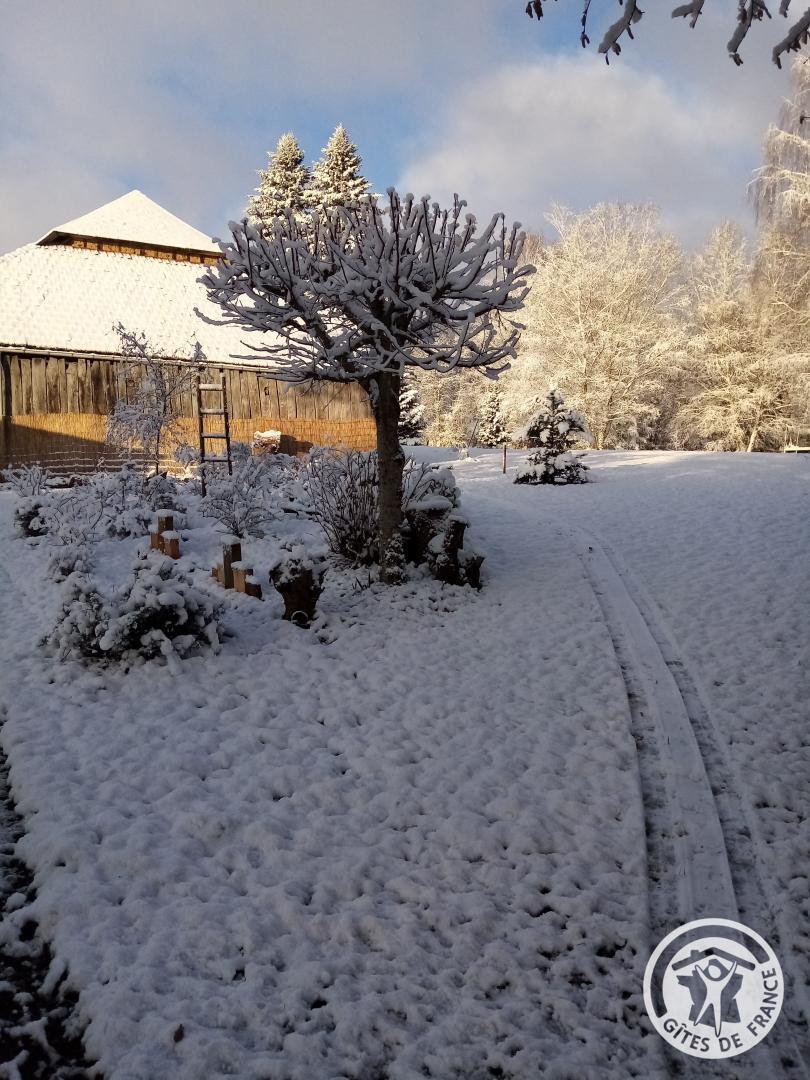 C'est tout Vert, Condat-sur-Ganaveix - photo 440