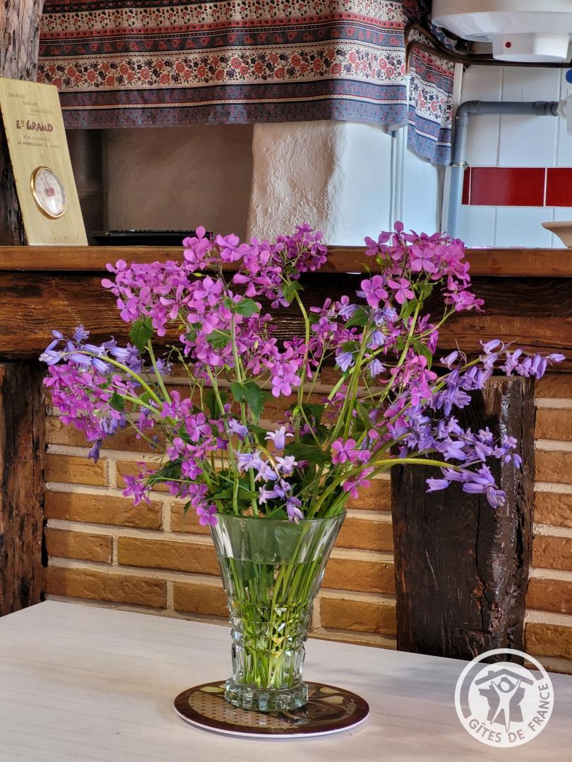 Location Gîtes de France  - Réf : 19G3064, Juillac - photo 88