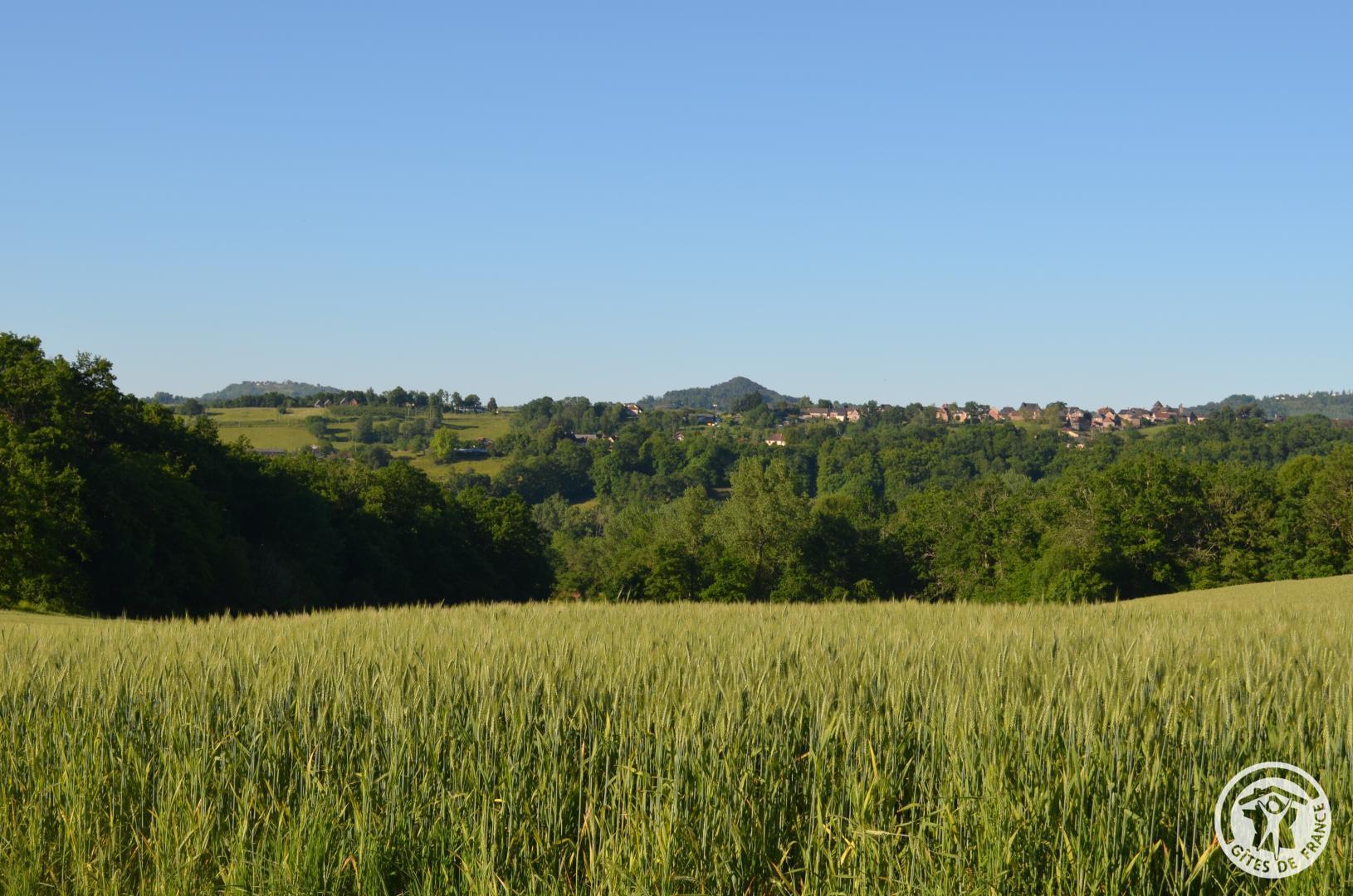 Le Grand Cluzel, Saint-Cyr-la-Roche - photo 139