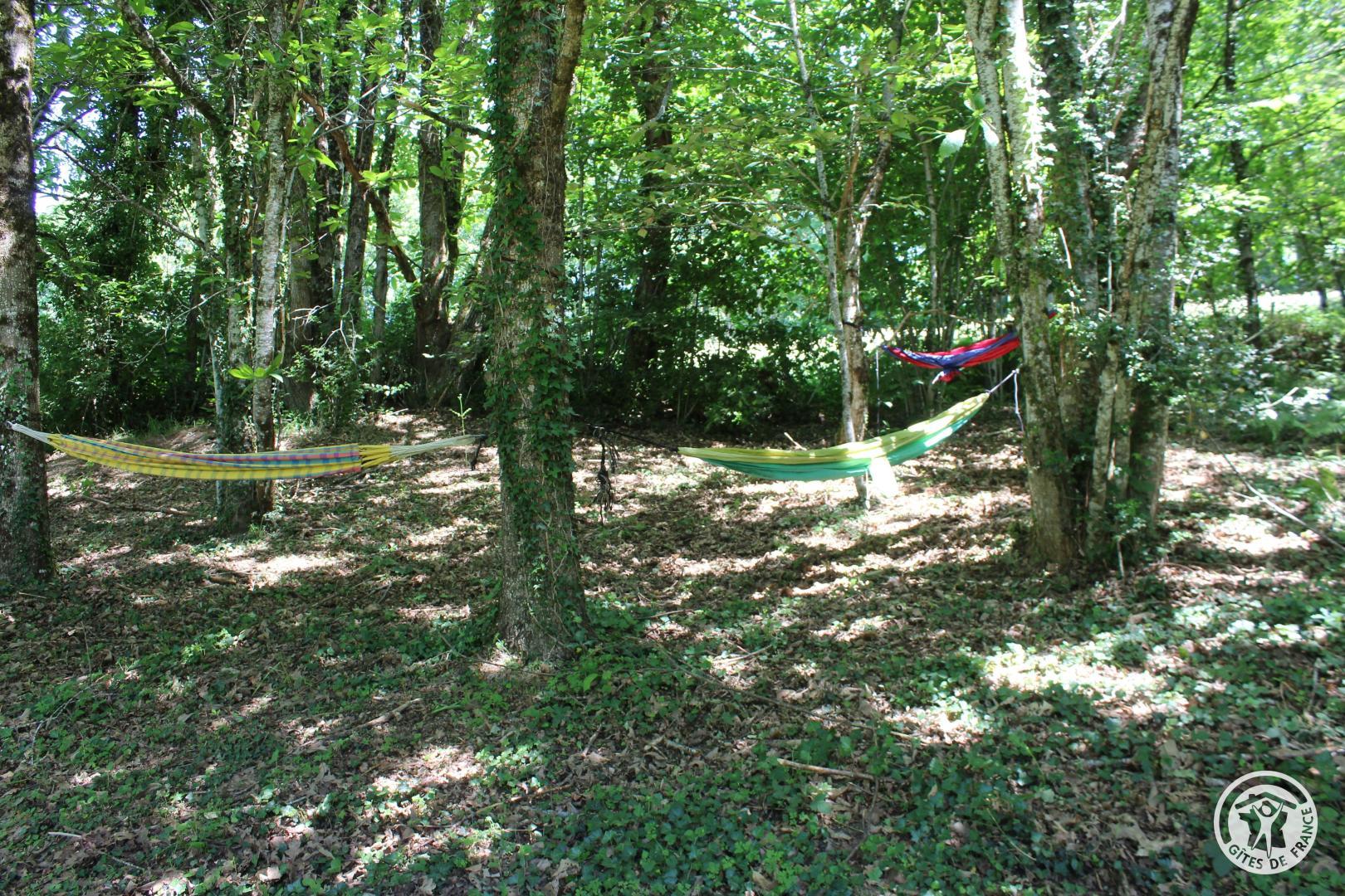 Chez nous, Meilhards - photo 112