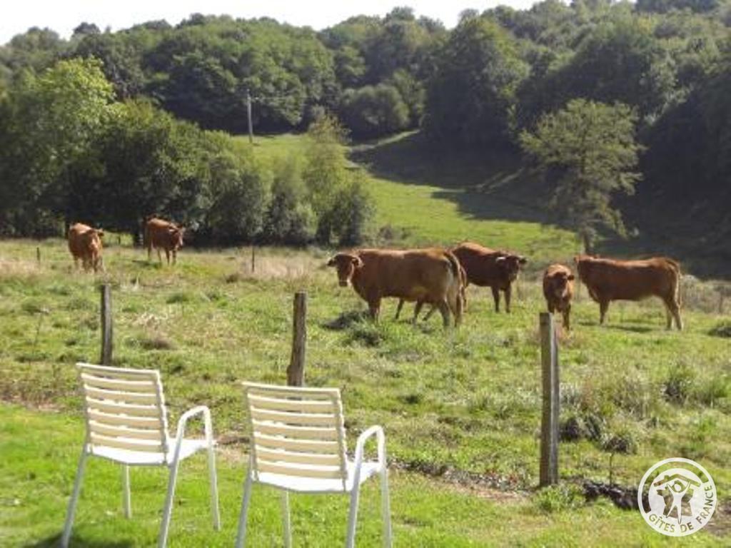 Gîte des Chaises Basses, Orgnac-sur-Vézère - photo 133