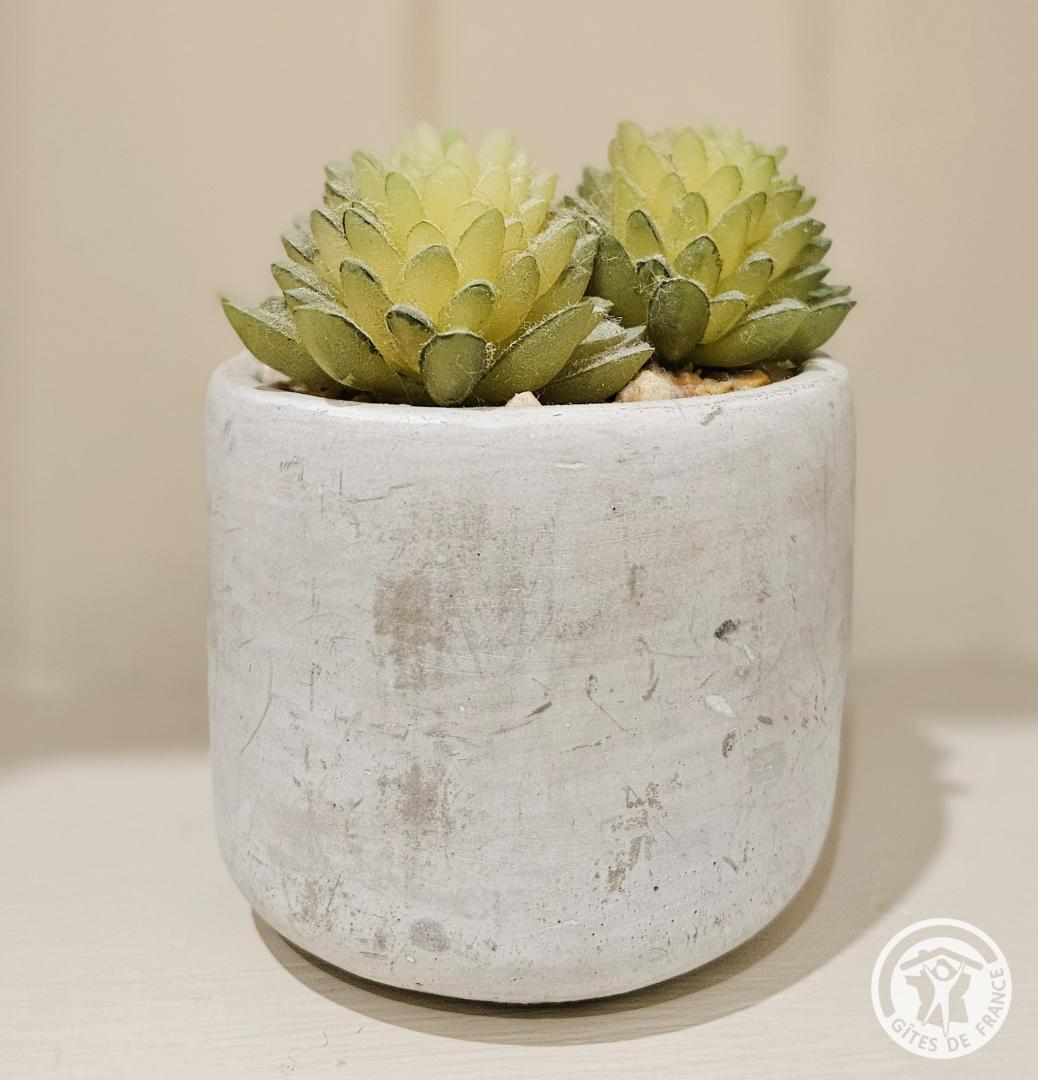 Le Chant des Oiseaux