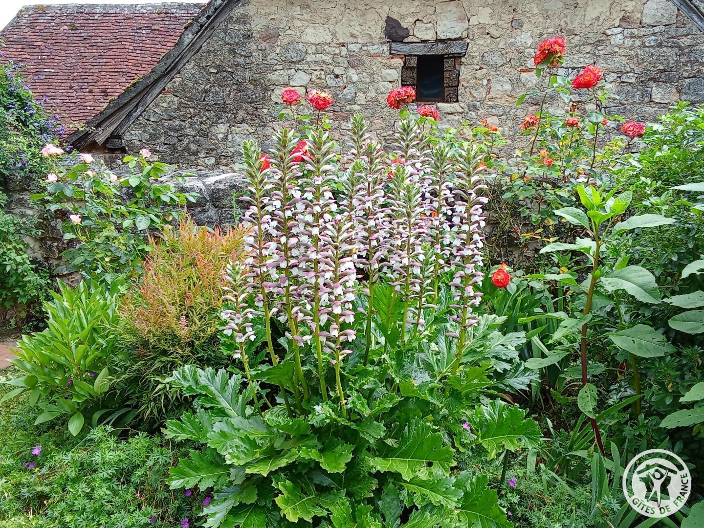 L'Hirondelle 2, Segonzac - photo 111