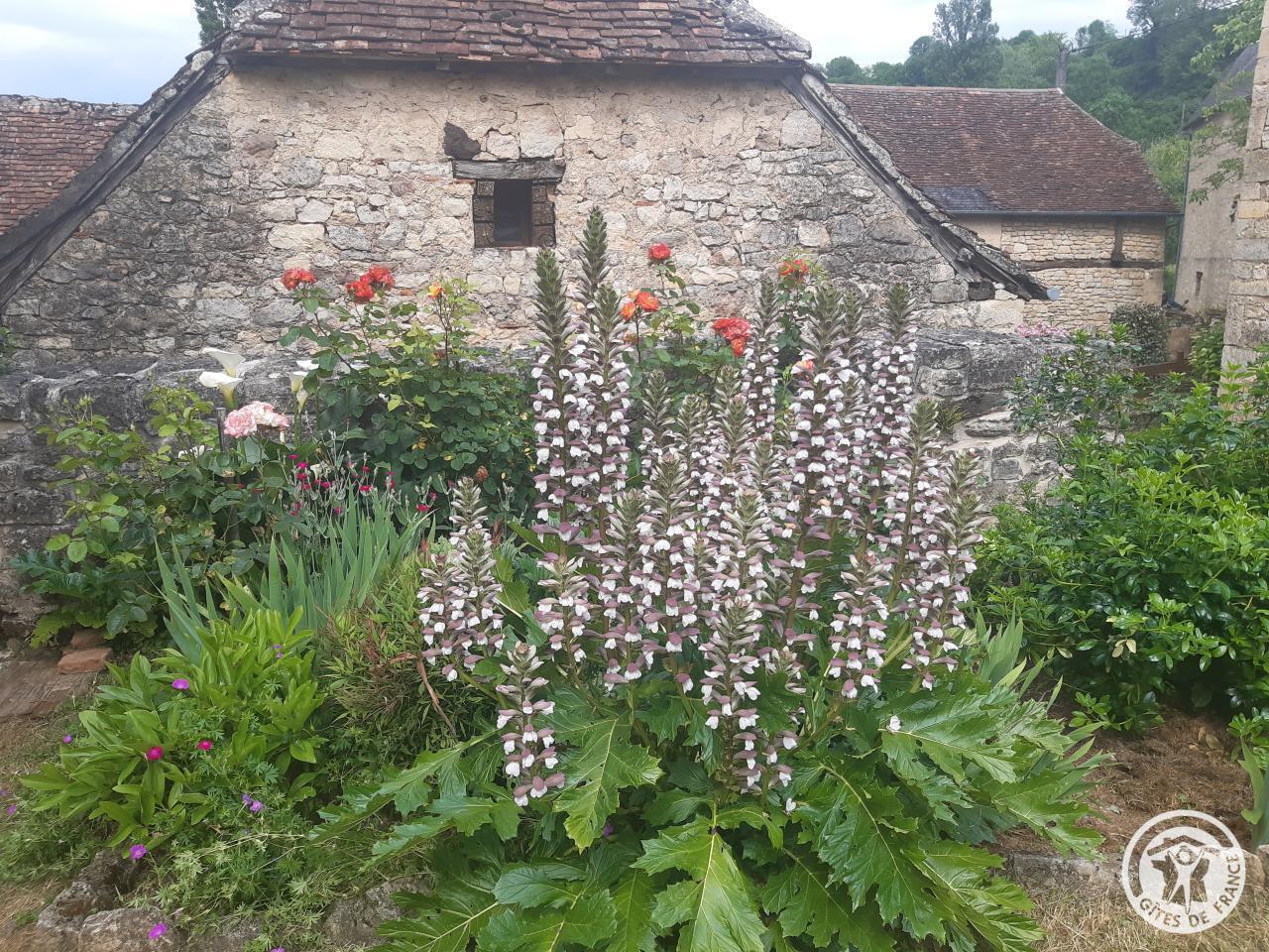 L'Hirondelle, Segonzac - photo 114