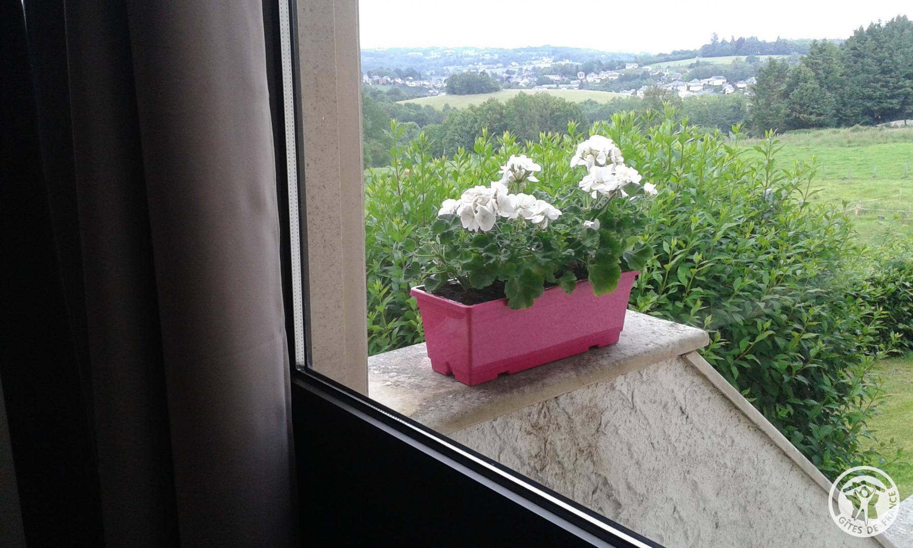 Gîte de Faucou, Uzerche - photo 55