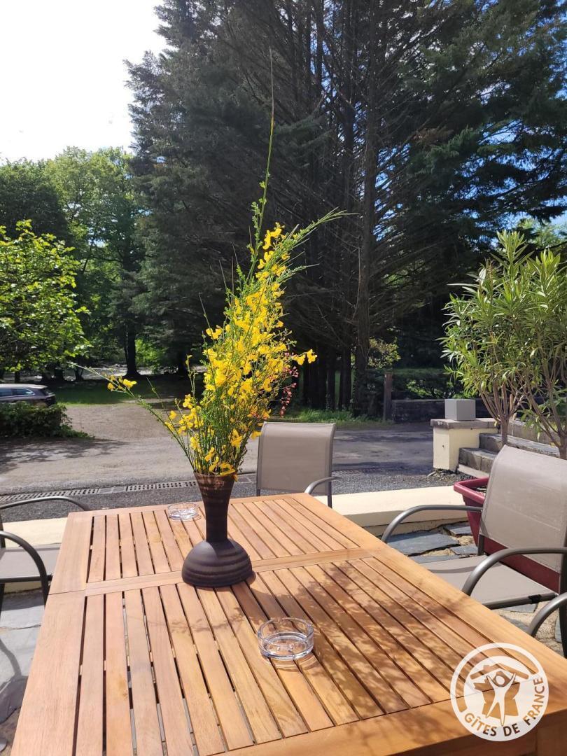 Au fil de La Bontat ~ Vézère, Voutezac - photo 420