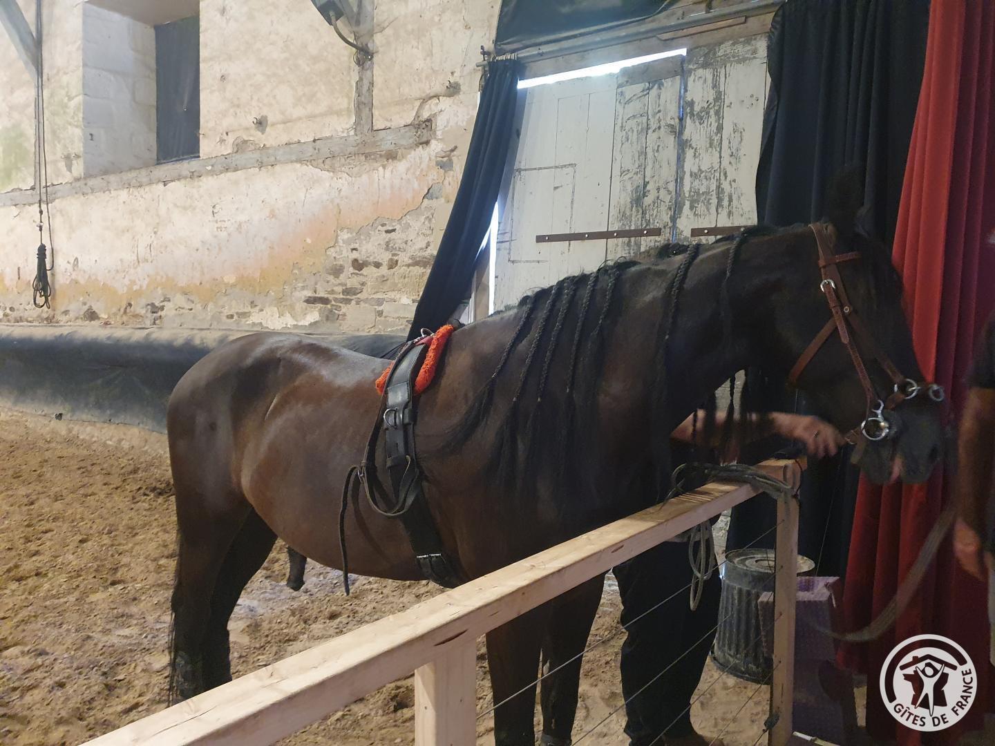 Au Grain de Folie, Lubersac - photo 388