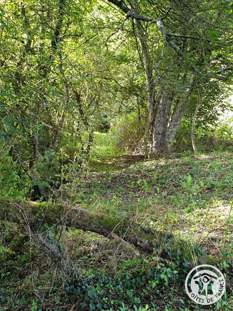 Au Grain de Folie, Lubersac - photo 403
