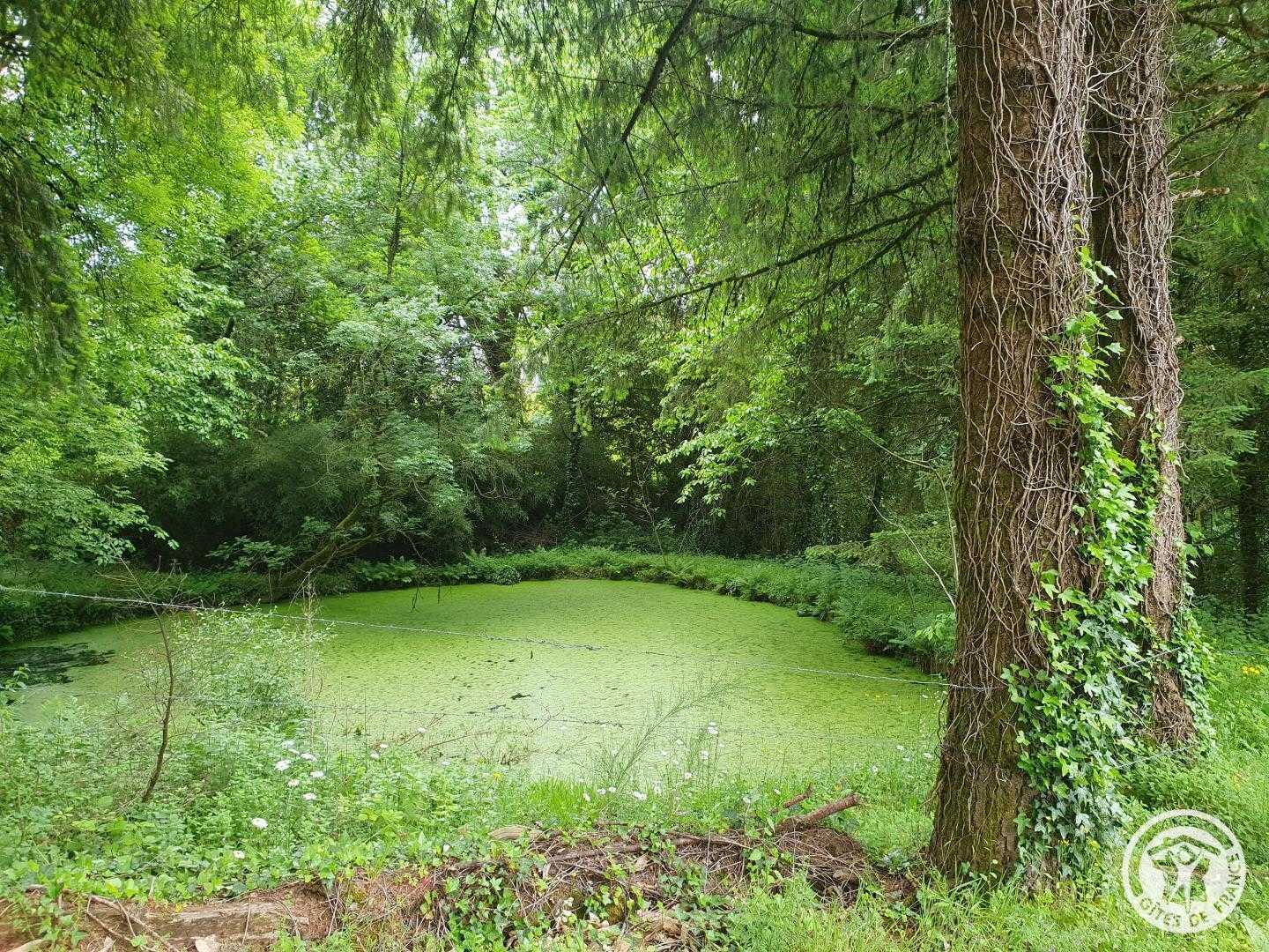 Au Grain de Folie, Lubersac - photo 386