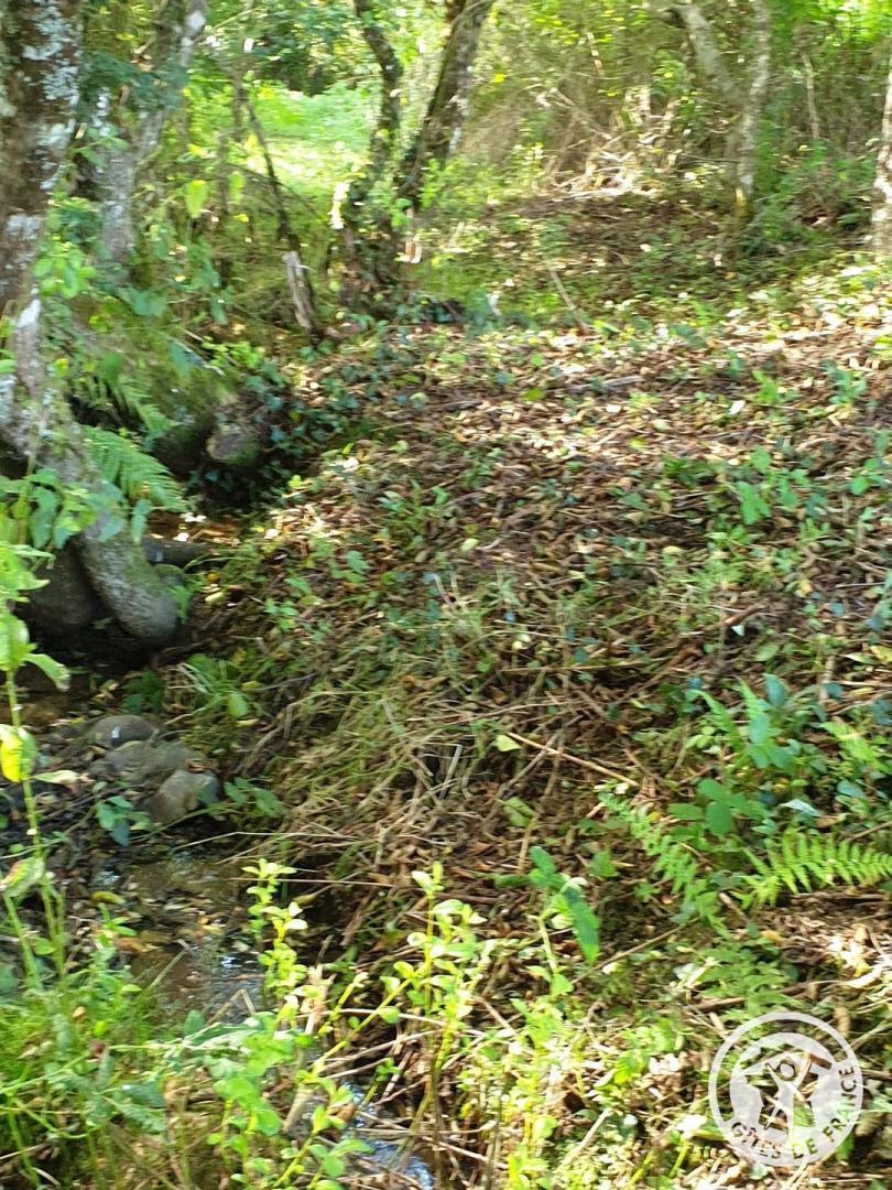 Au Grain de Folie, Lubersac - photo 379
