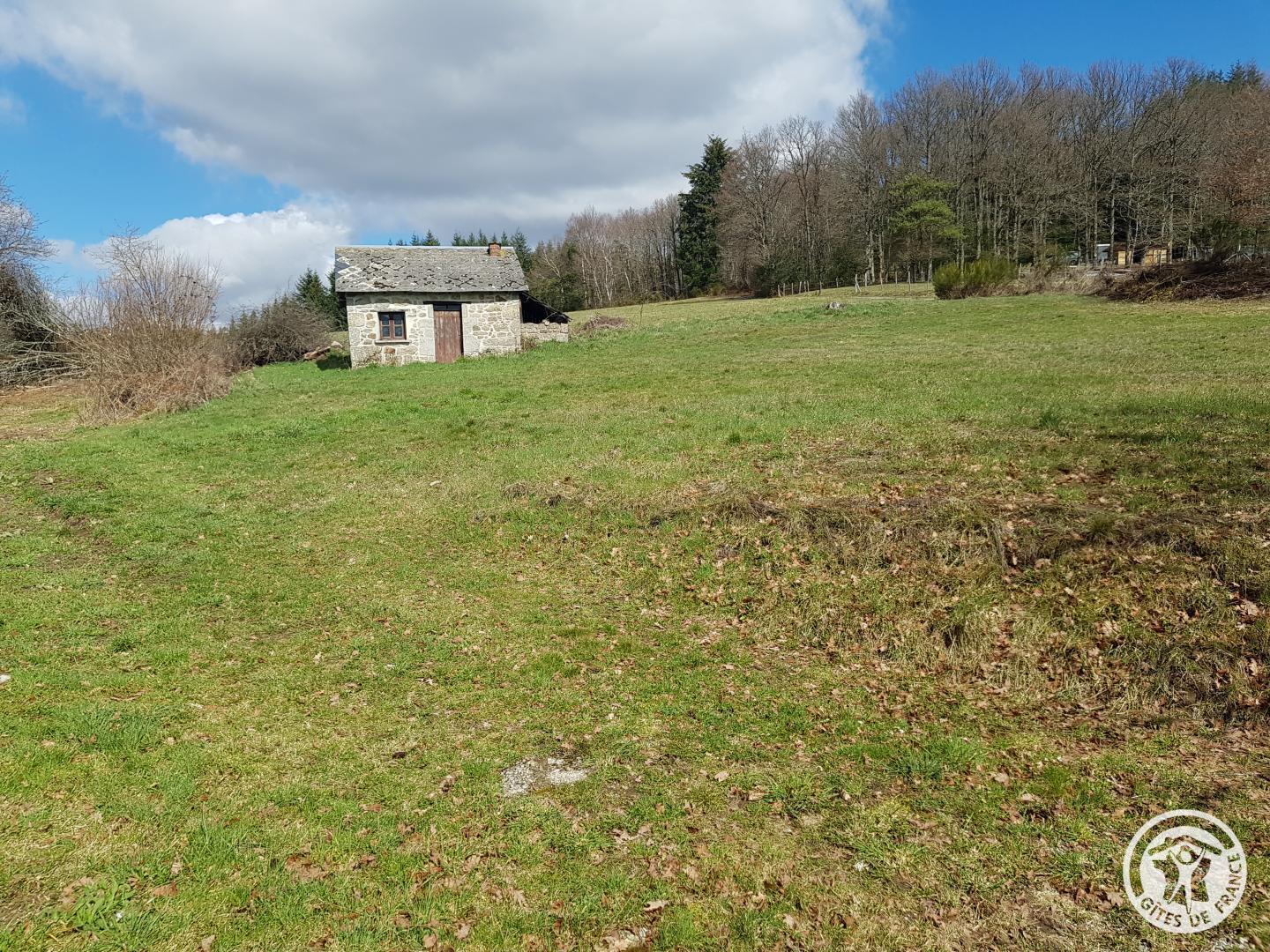 Location Gîtes de France  - Réf : 19G4010, Alleyrat - photo 49