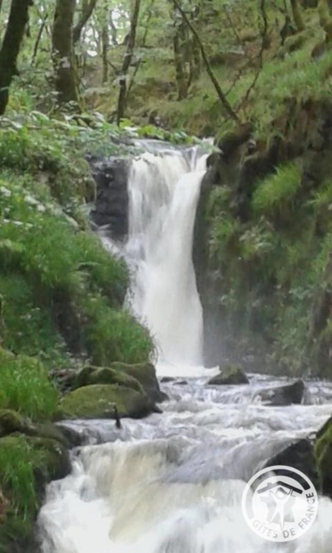 Au bonheur des Millevaches, Bonnefond - photo 117