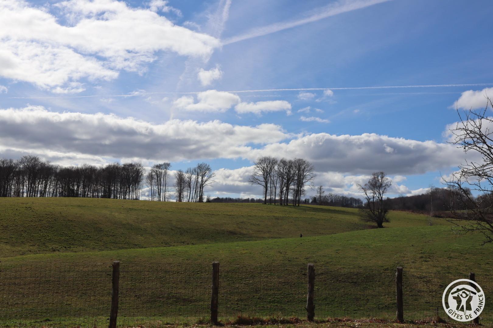 Location Gîtes de France  - Réf : 19G4029, Chamberet - photo 269