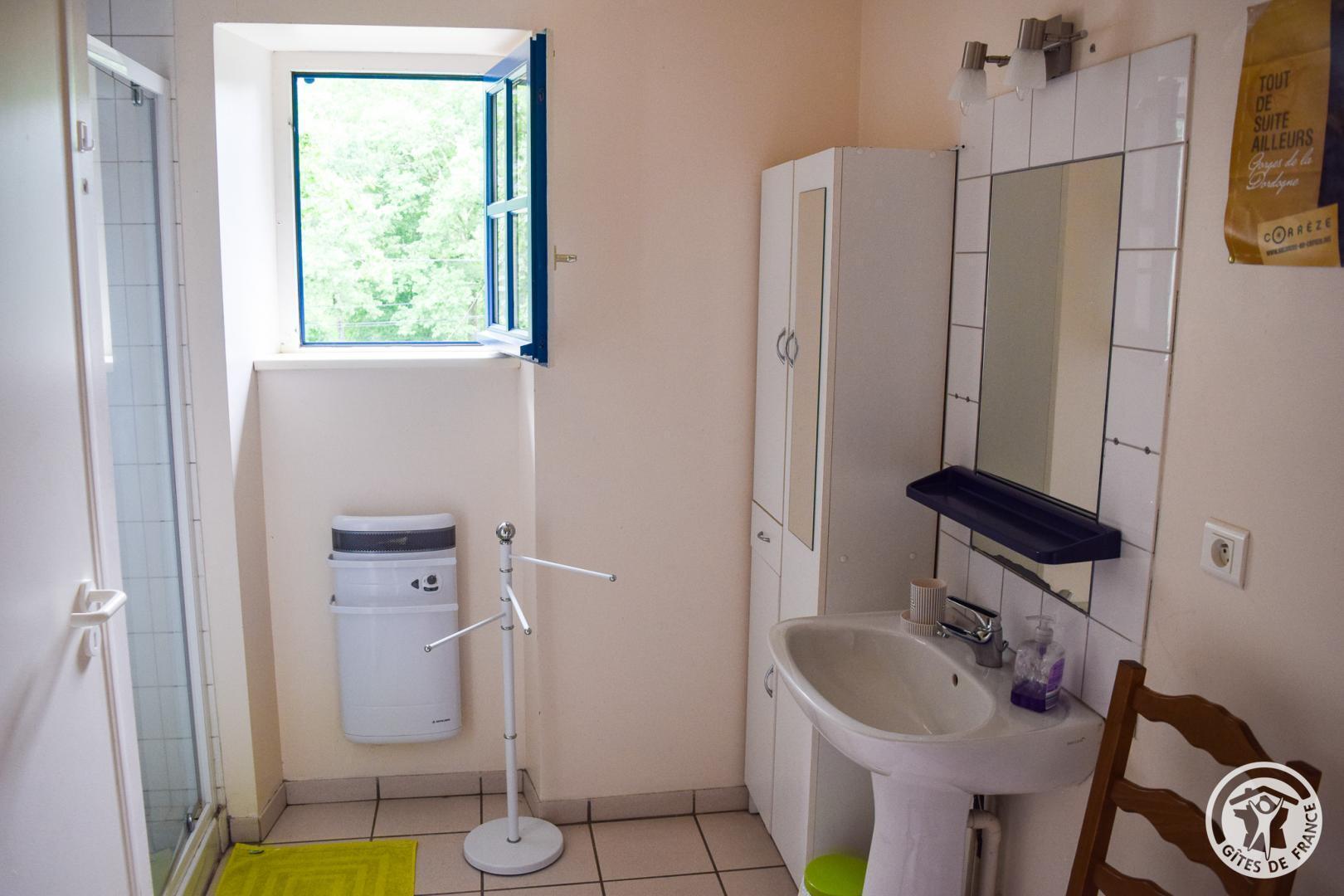 Location Gîtes de France  - Réf : 19G4042, Champagnac-la-Noaille - photo 40