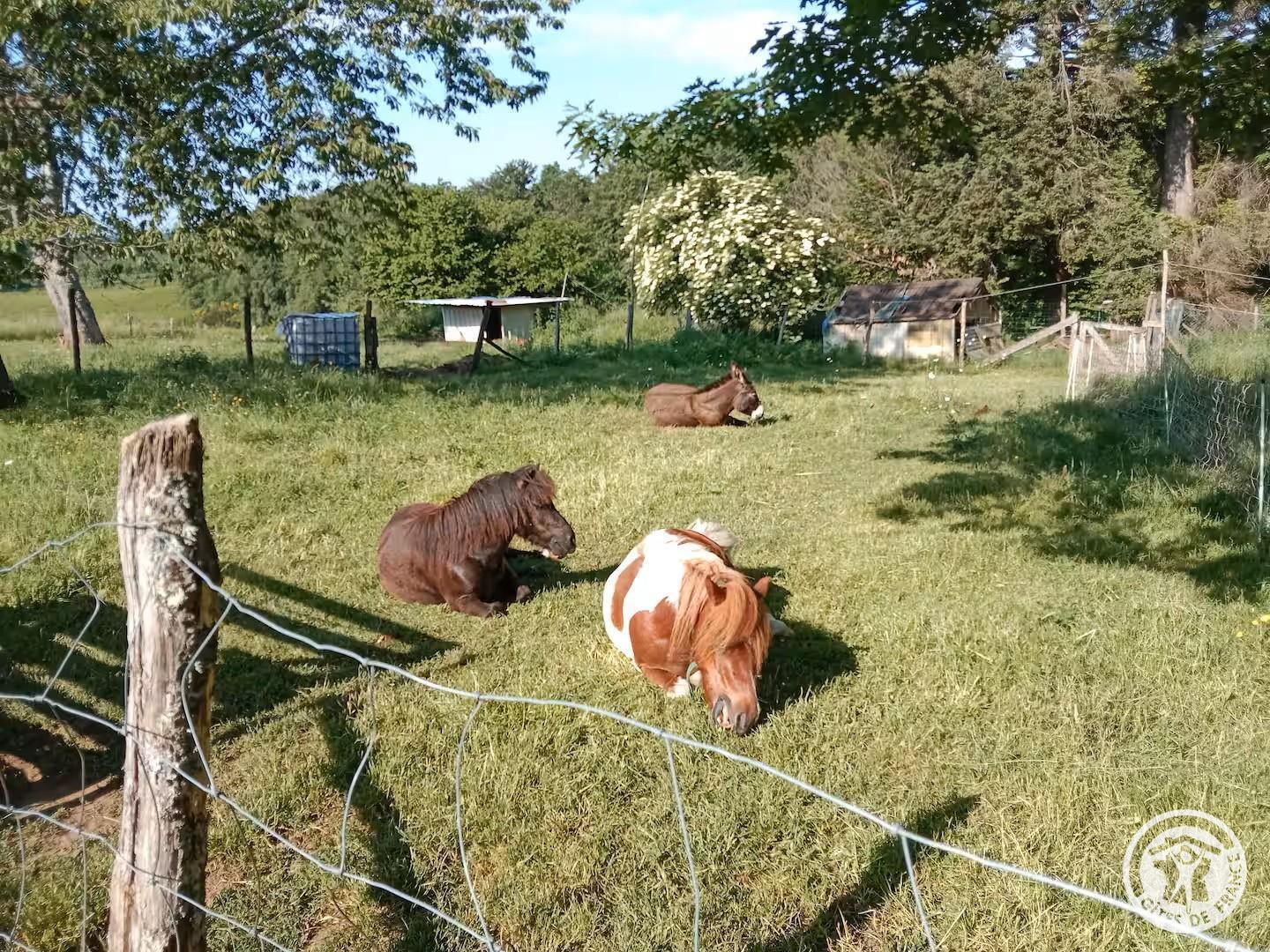 Gîte des Coussières, Courteix - photo 168